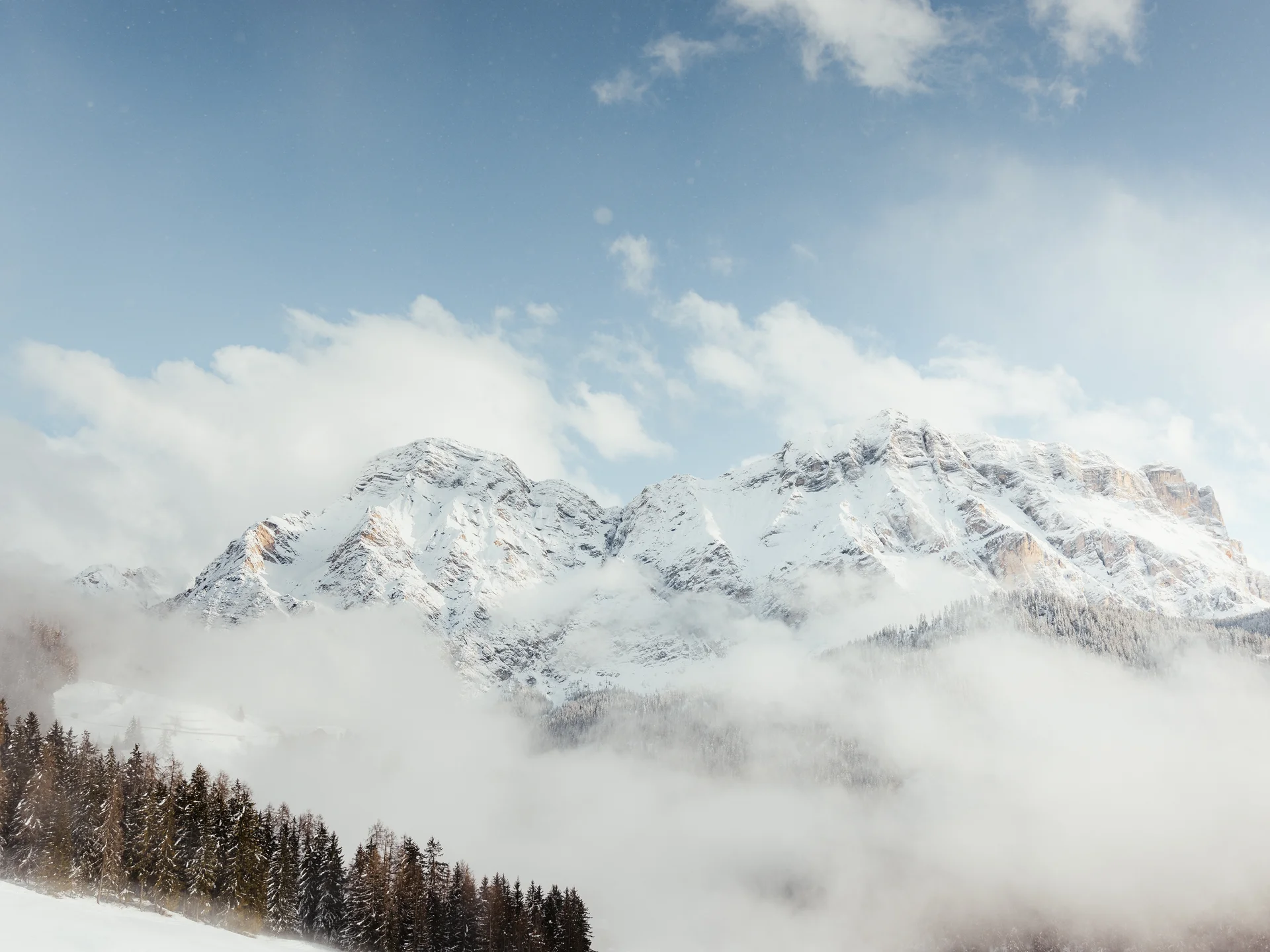 Schneebedeckte Berge mit Wolken und Nadelwald im Vordergrund