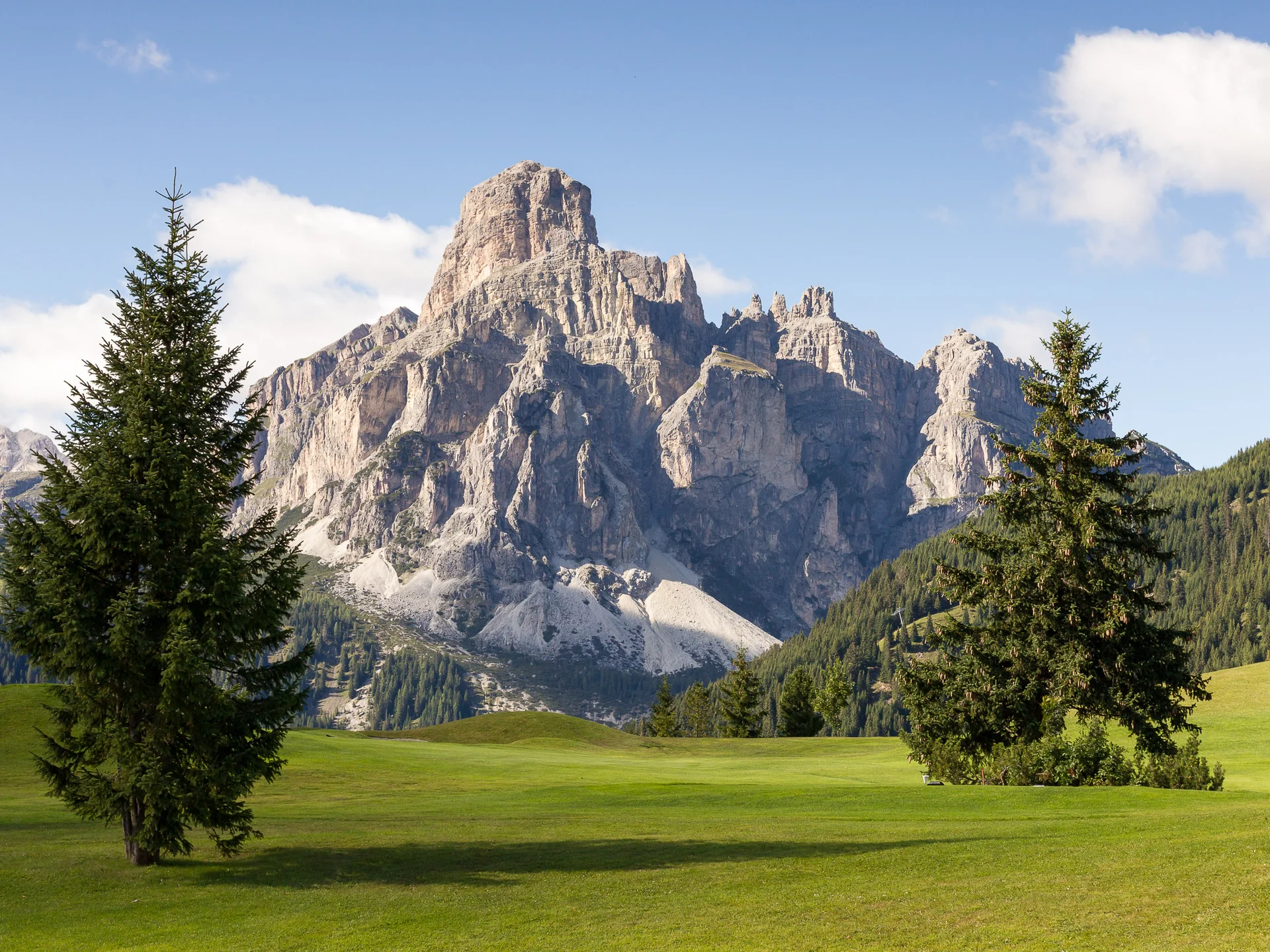 Grüne Wiese mit zwei Tannenbäumen und felsigem Berg im Hintergrund bei klarem Himmel