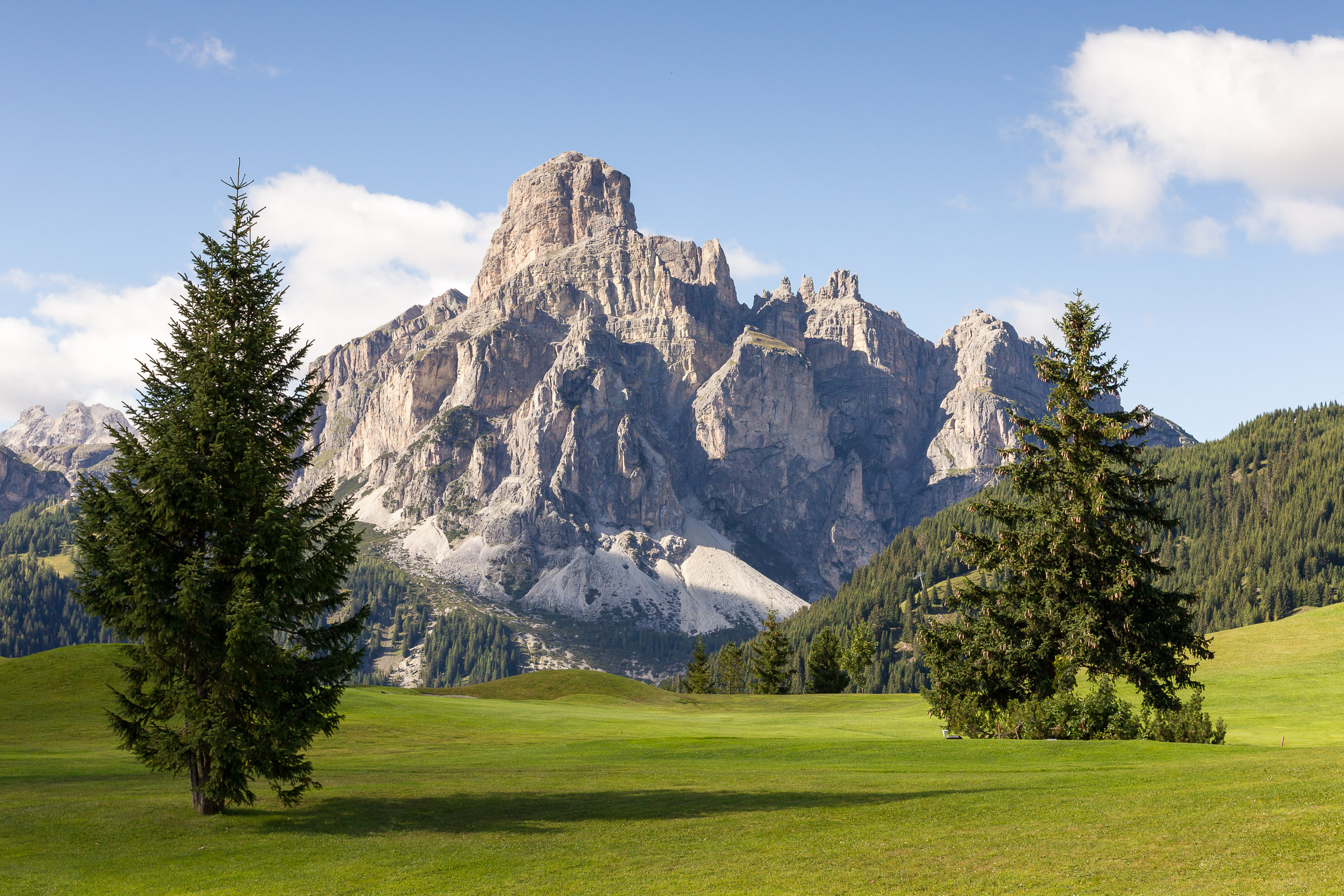 Prato verde con due abeti e montagna rocciosa sullo sfondo sotto cielo sereno