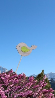 Amazing day in Alta Badia Dolomites
